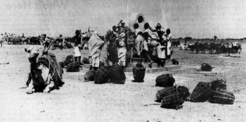 Scene from the Somali interior in the 1950s